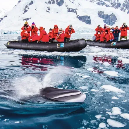 乘坐橡皮艇的游客们看着一头鲸鱼冲破冰冷的水面